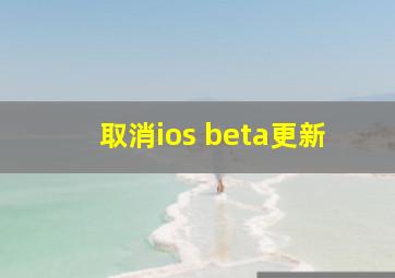 取消ios beta更新